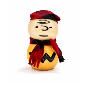 Classic Boy Winter Character